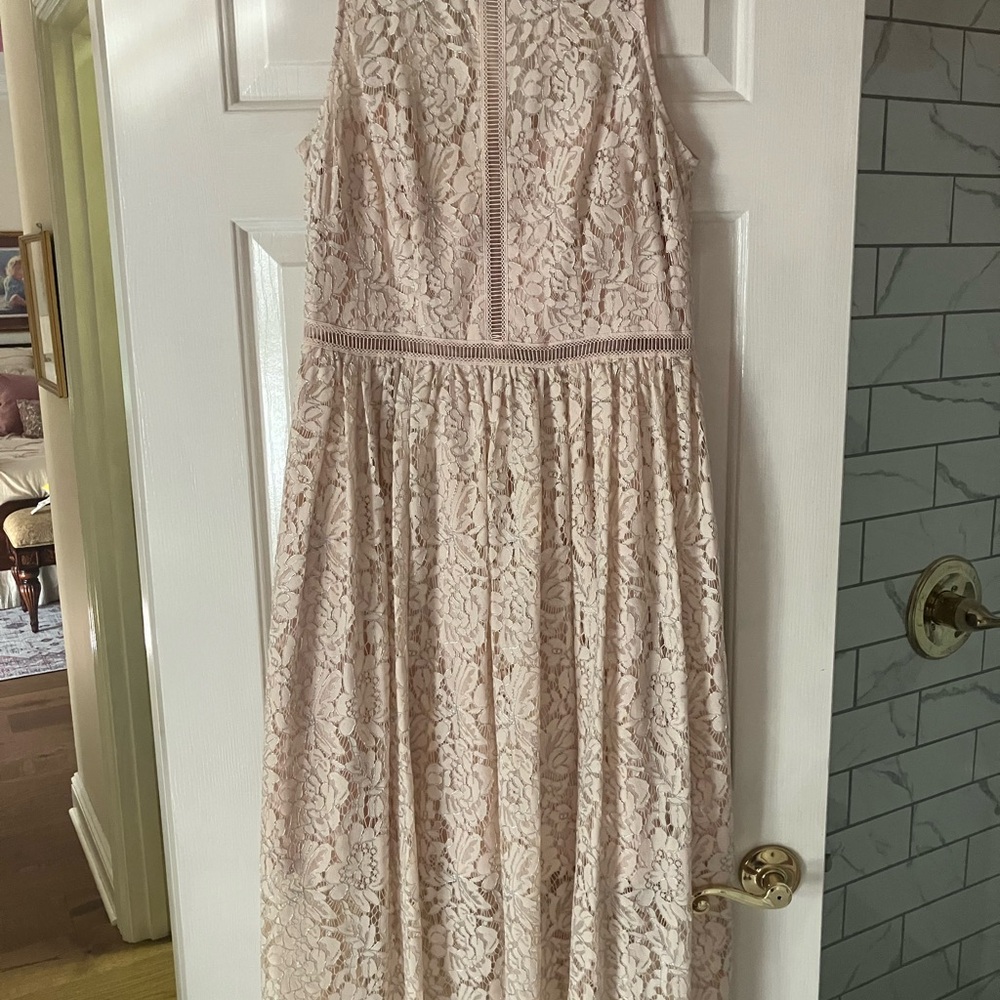 Adrianna Papell Pale Blush Lace Midi Dress